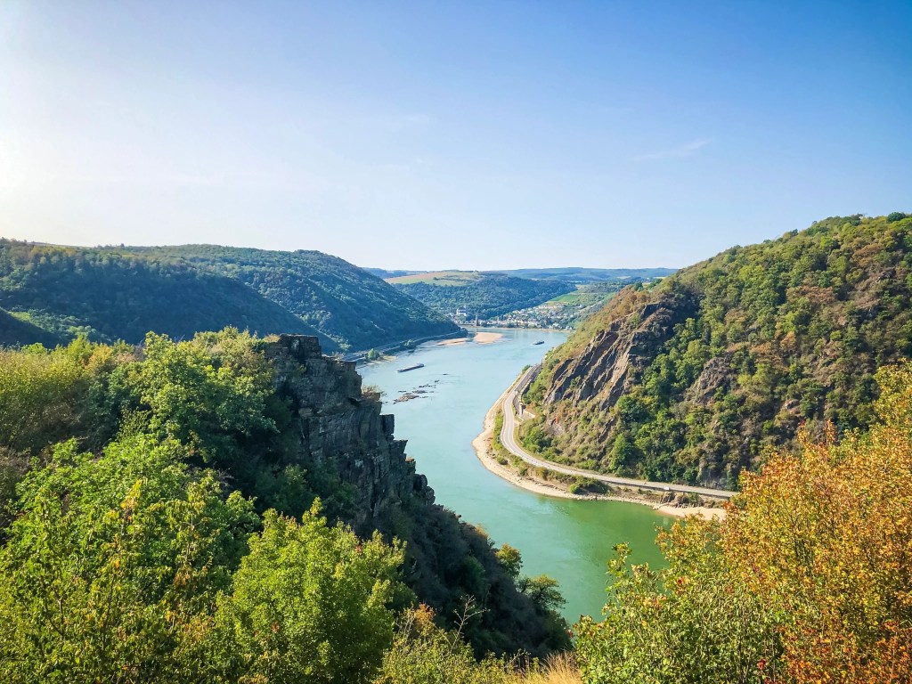 Dinkholder Tal forest in Germany.